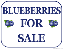 Blueberries For Sale Sign