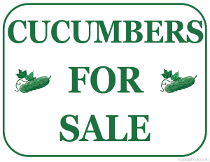 Cucumbers For Sale Sign