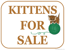 Kittens For Sale Sign