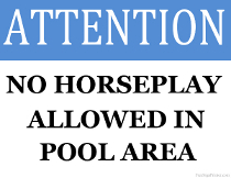 No Horseplay Allowed in Pool Area Sign