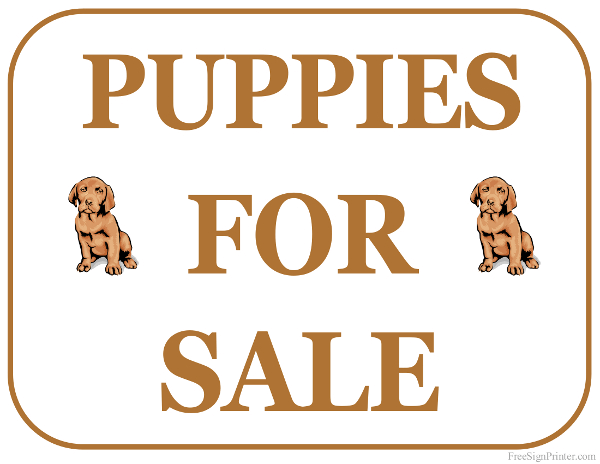 Puppies For Sale Flyer Template Free Printable