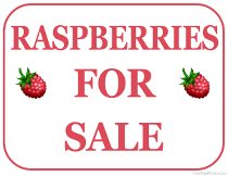 Raspberries For Sale Sign