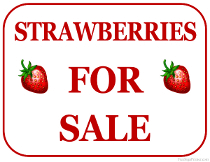 Strawberries For Sale Sign